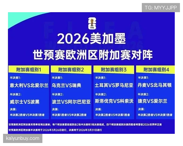 波黑队2026世界杯前景分析 能否突破历史最佳战绩再创黑马奇迹 波黑队2026世界杯前景分析 能否突破历史最佳战绩再创黑马奇迹